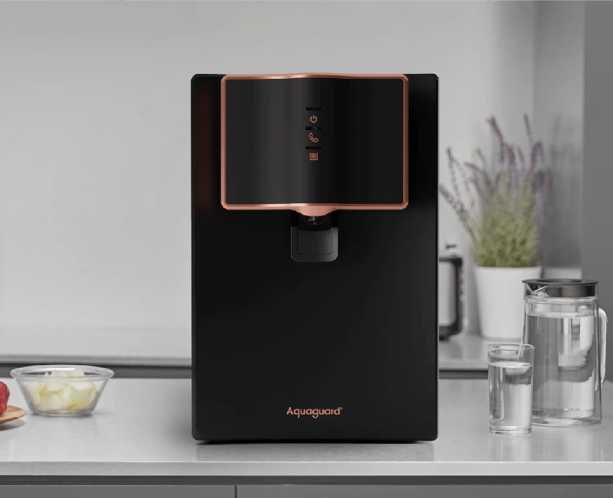 Aquaguard RO Service